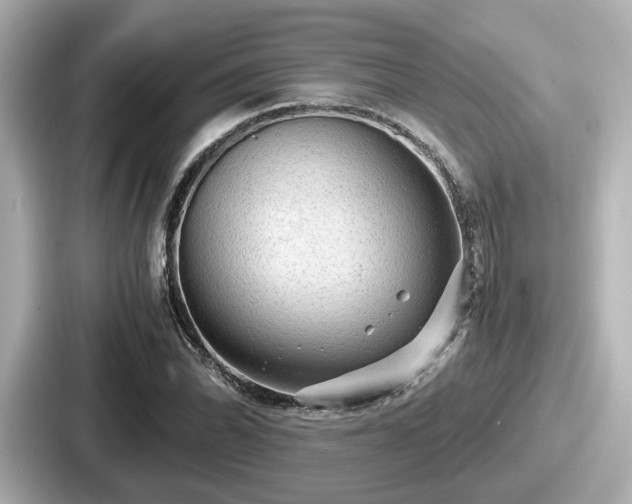 X0000087641070200705101043