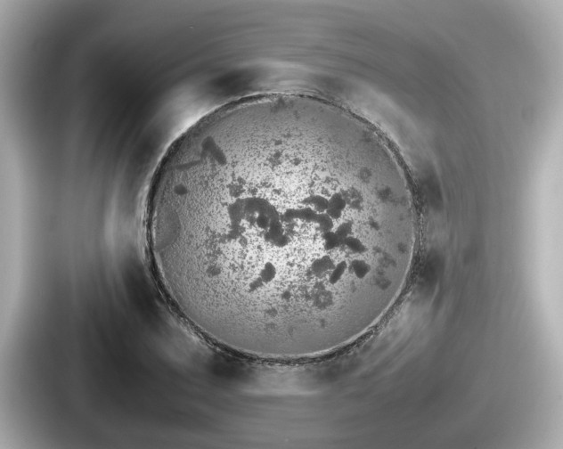 X0000087641071200705101043