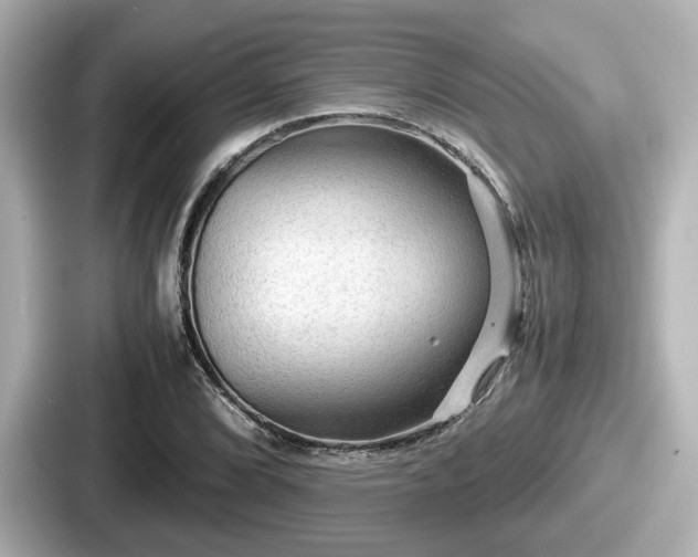 X0000087641072200705101043