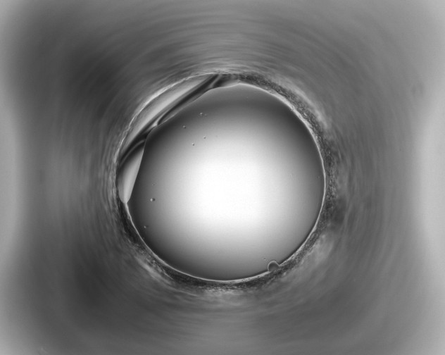 X0000087641073200705101043