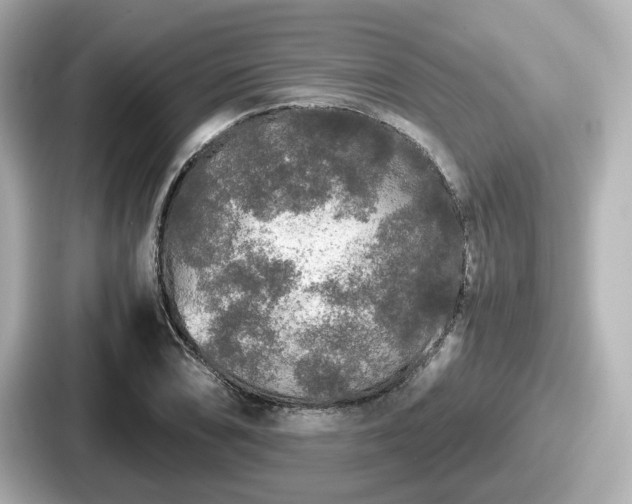 X0000087641074200705101043