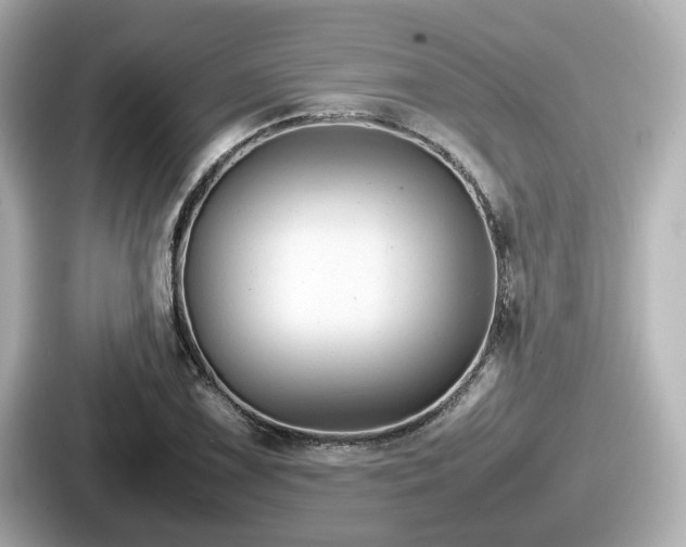 X0000087641075200705101043