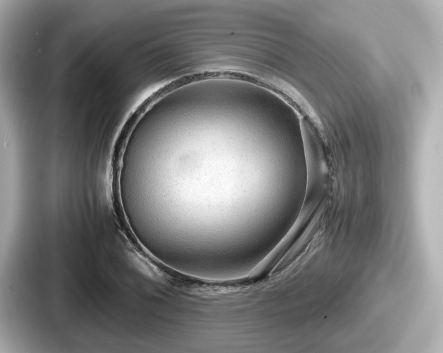 X0000087641076200705101043