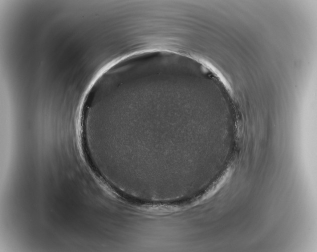 X0000087641077200705101043