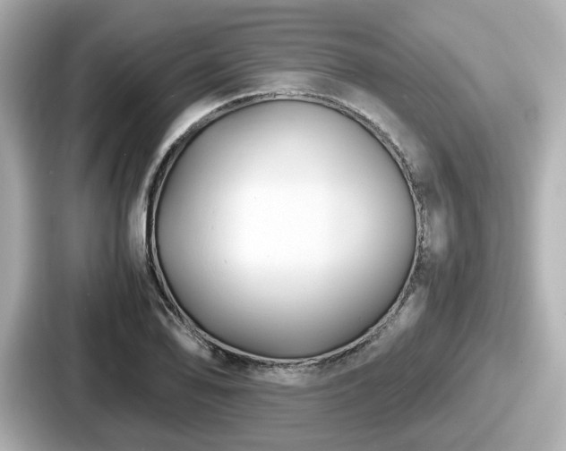 X0000087641078200705101043