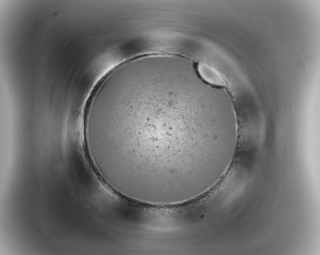 X0000087641079200705101043