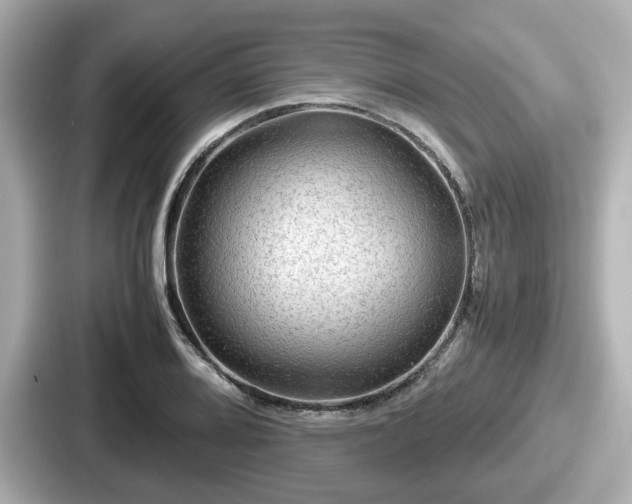 X0000087641080200705101043