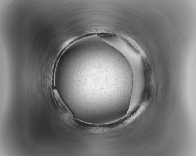 X0000087641081200705101043