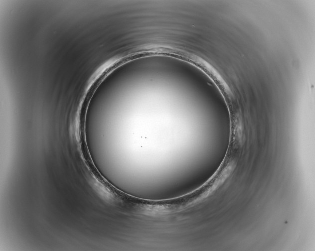 X0000087641082200705101043