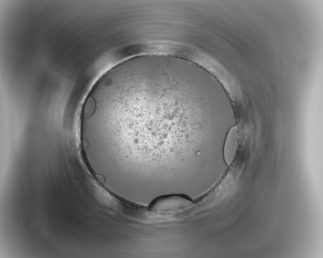 X0000087641083200705101043