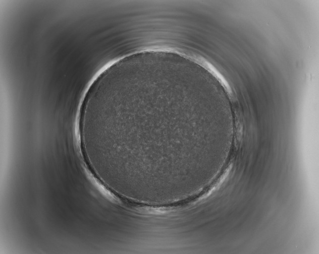 X0000087641084200705101043