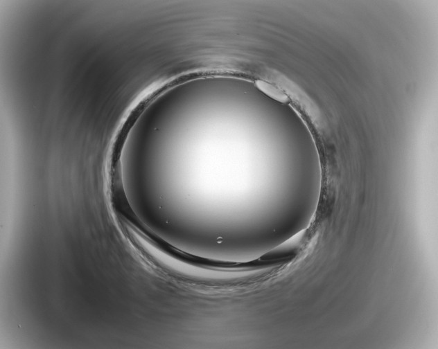 X0000087641085200705101043