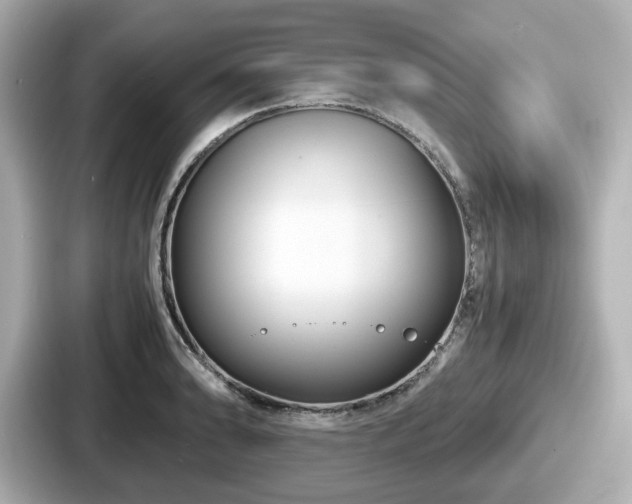 X0000087641086200705101043