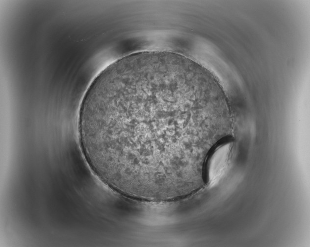 X0000087641087200705101043