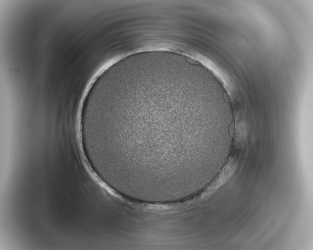 X0000087641088200705101043