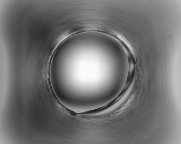 X0000087641089200705101043