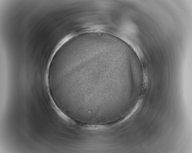 X0000087641090200705101043