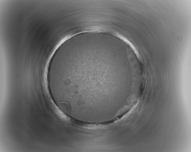 X0000087641091200705101043