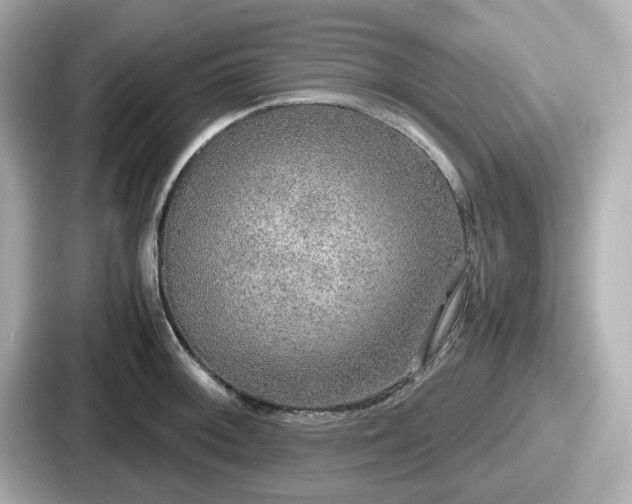 X0000087641092200705101043