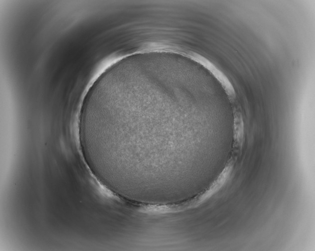 X0000087641094200705101043