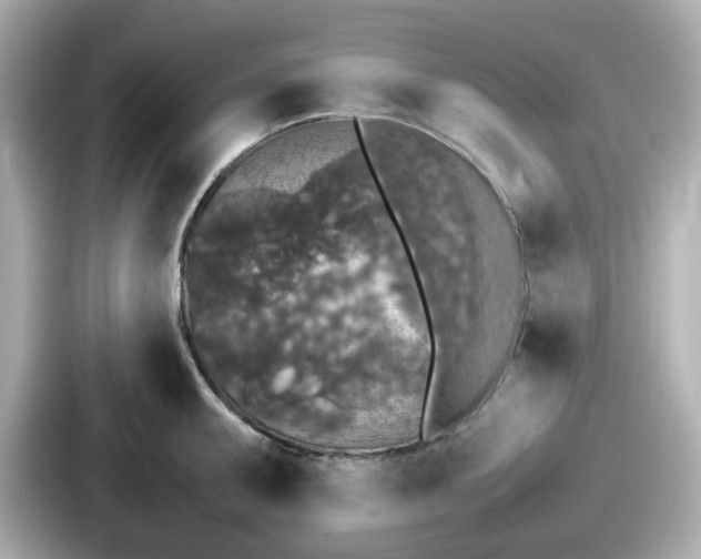 X0000087641095200705101043