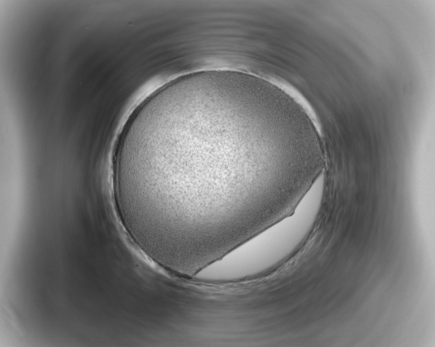 X0000087641096200705101042