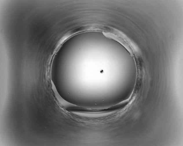 X0000087641097200705101042