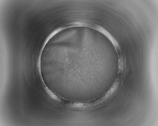 X0000087641098200705101042