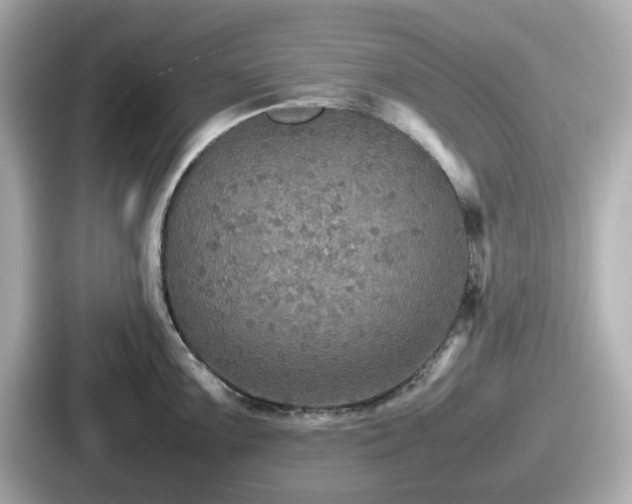 X0000087641099200705101042