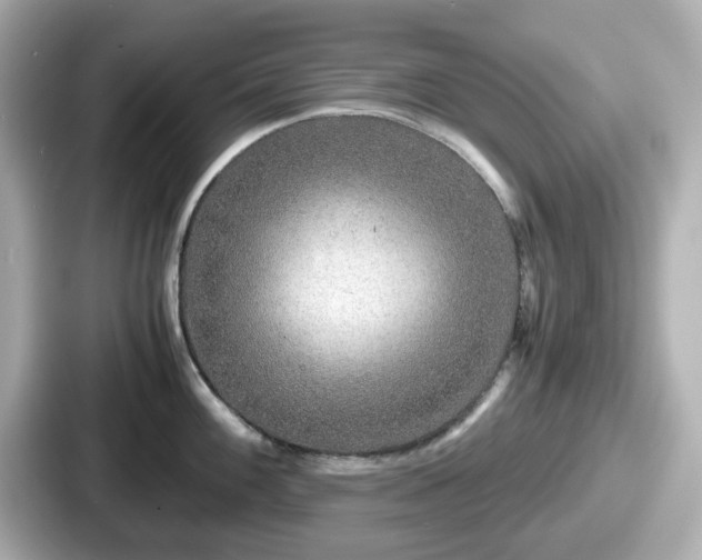 X0000087641100200705101042