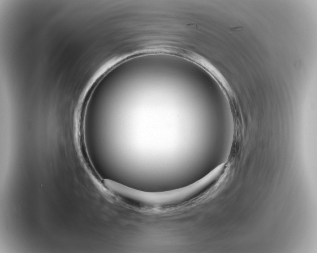 X0000087641101200705101042