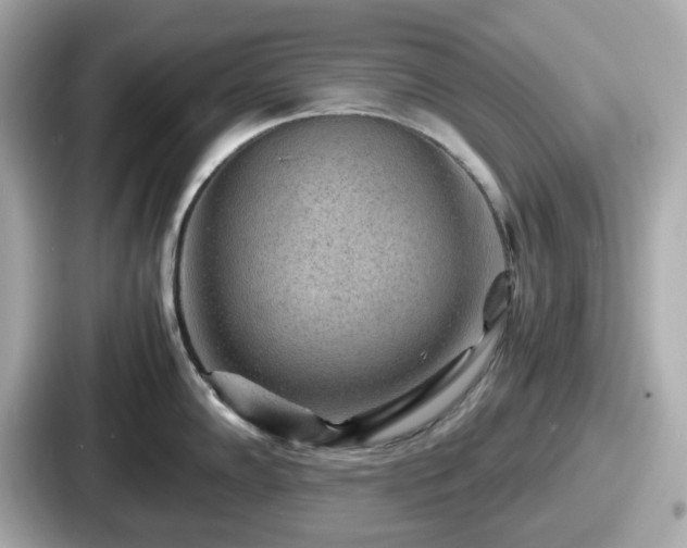 X0000087641102200705101042