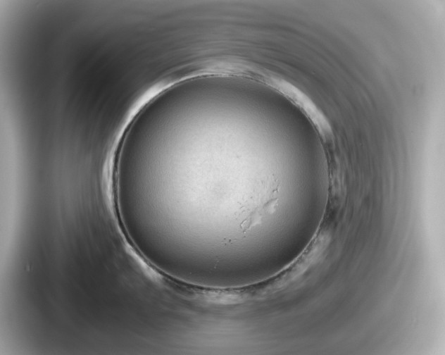 X0000087641103200705101042