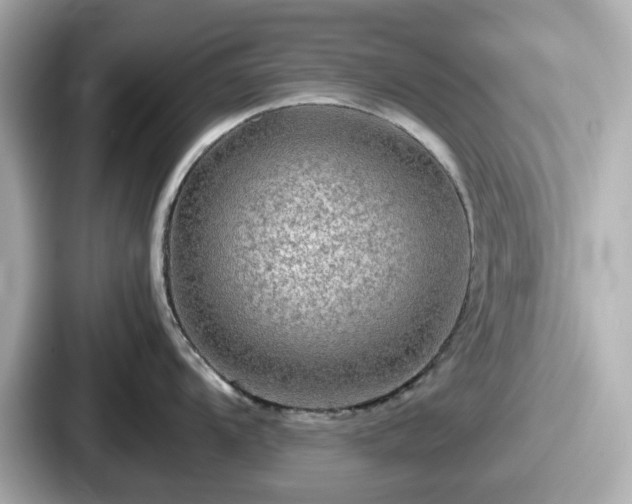 X0000087641104200705101042