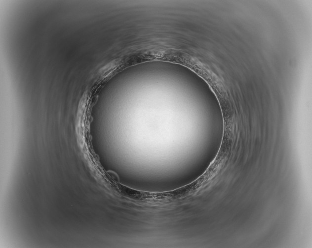 X0000087641105200705101042