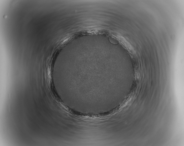 X0000087641106200705101042