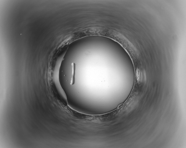 X0000087641107200705101042