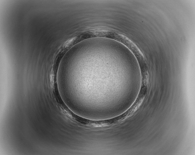 X0000087641108200705101042