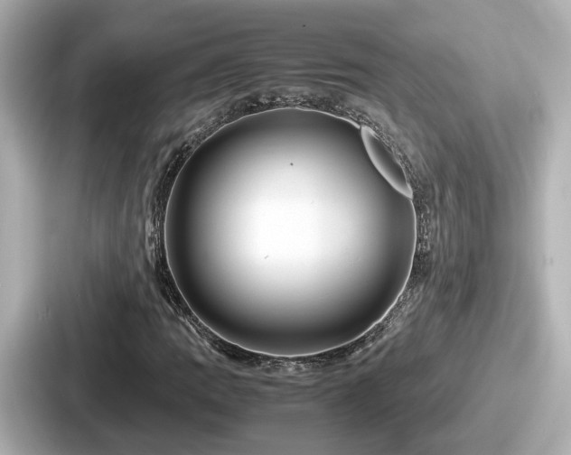 X0000087641109200705101042