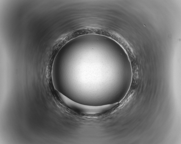 X0000087641110200705101042