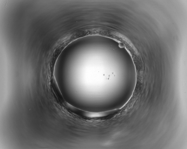 X0000087641111200705101042