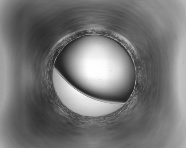 X0000087641112200705101042