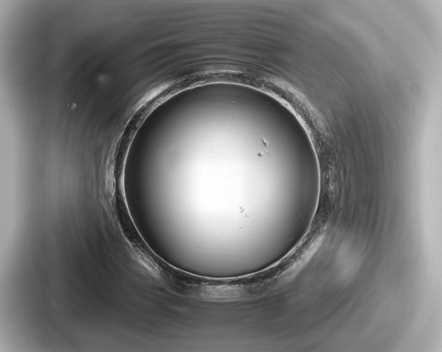 X0000087641113200705101042