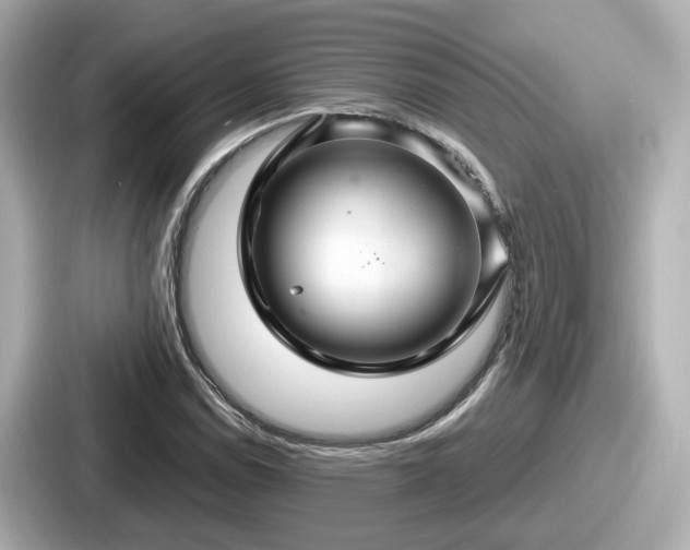 X0000087641114200705101042