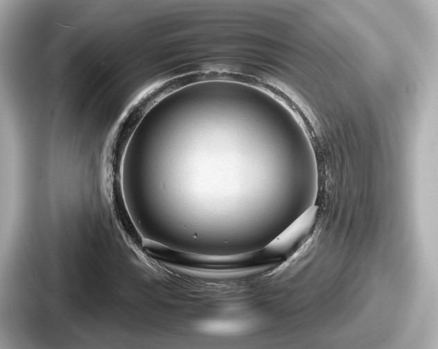 X0000087641115200705101042