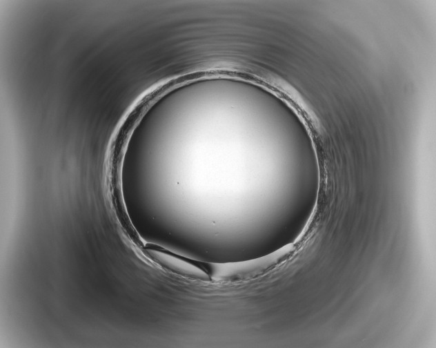 X0000087641116200705101042