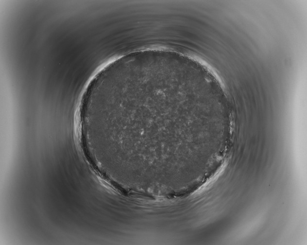 X0000087641117200705101042