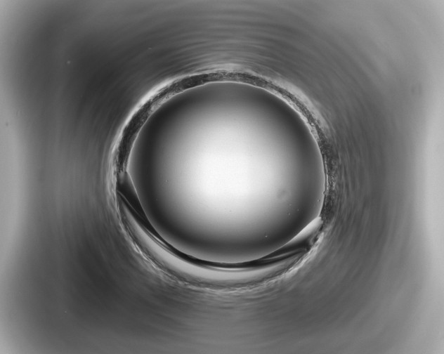 X0000087641118200705101042