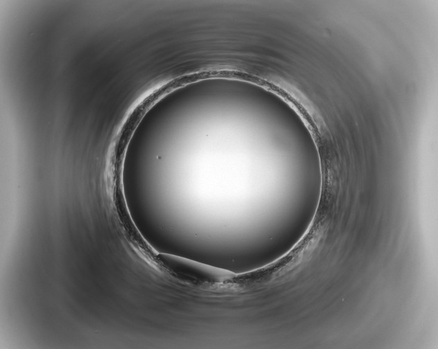 X0000087641119200705101042