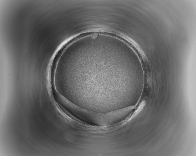 X0000087641120200705101042